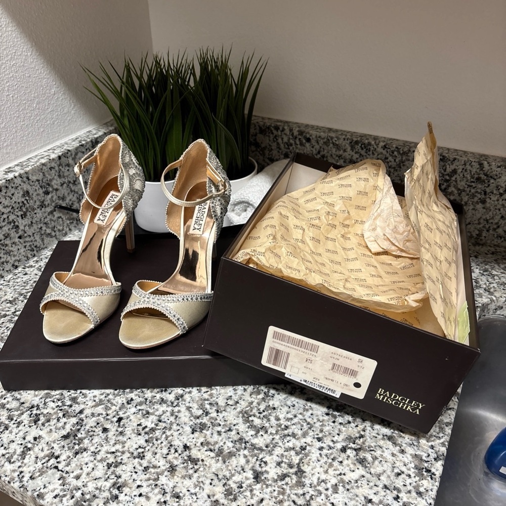 Badgley Mischka Silver Strappy Heels for Special Occasions